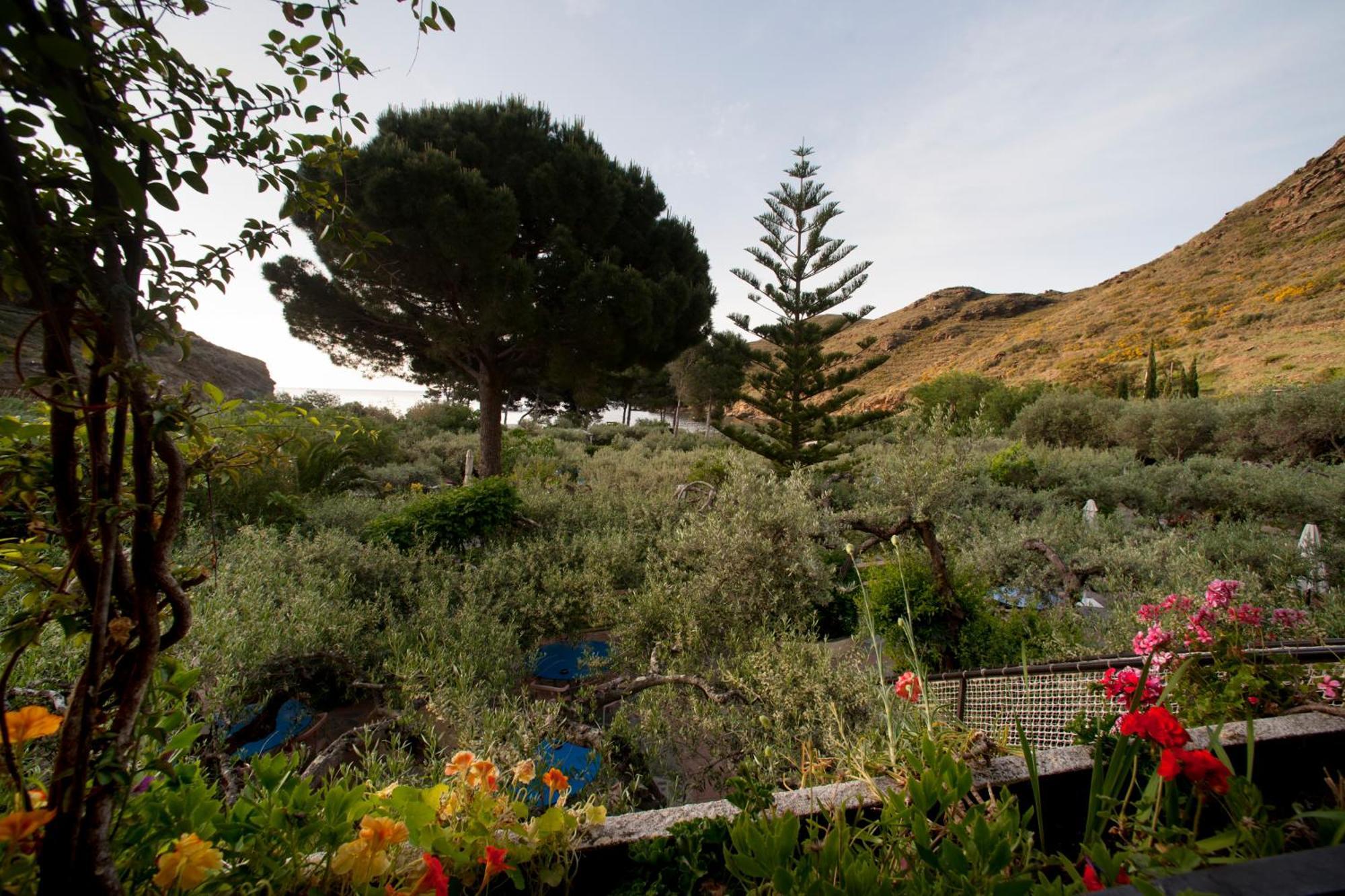 Hotel Cala Joncols Roses Exterior photo